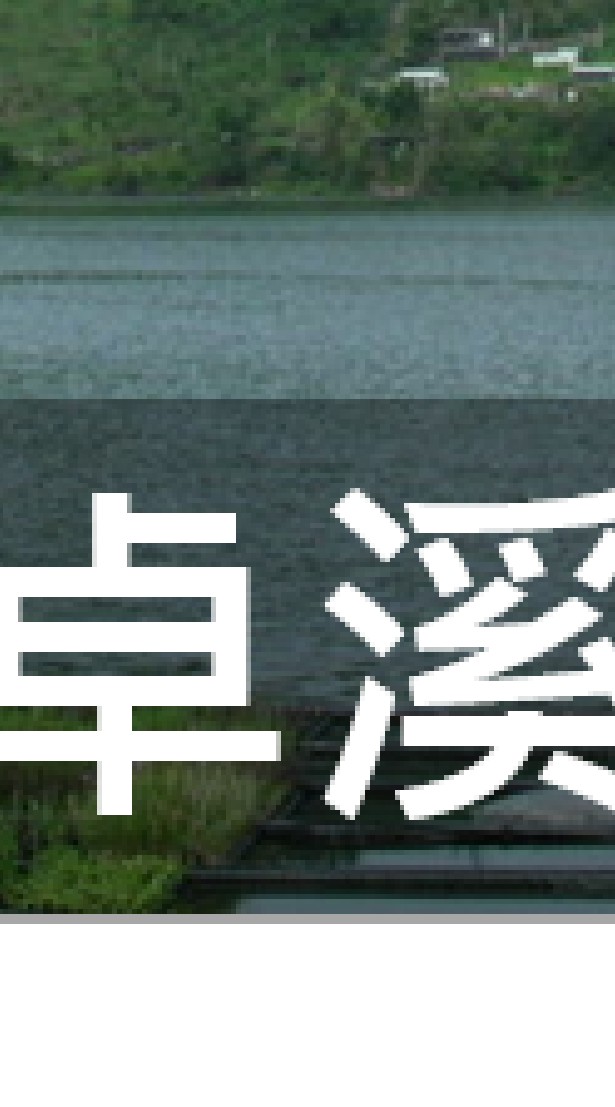 我是卓溪人