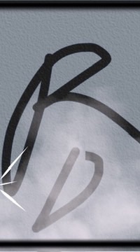 RD戰隊（競爭者rivals)