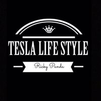 🚘 TESLA LIFE STYLE 🚘【テスラ・ライフ・スタイル】