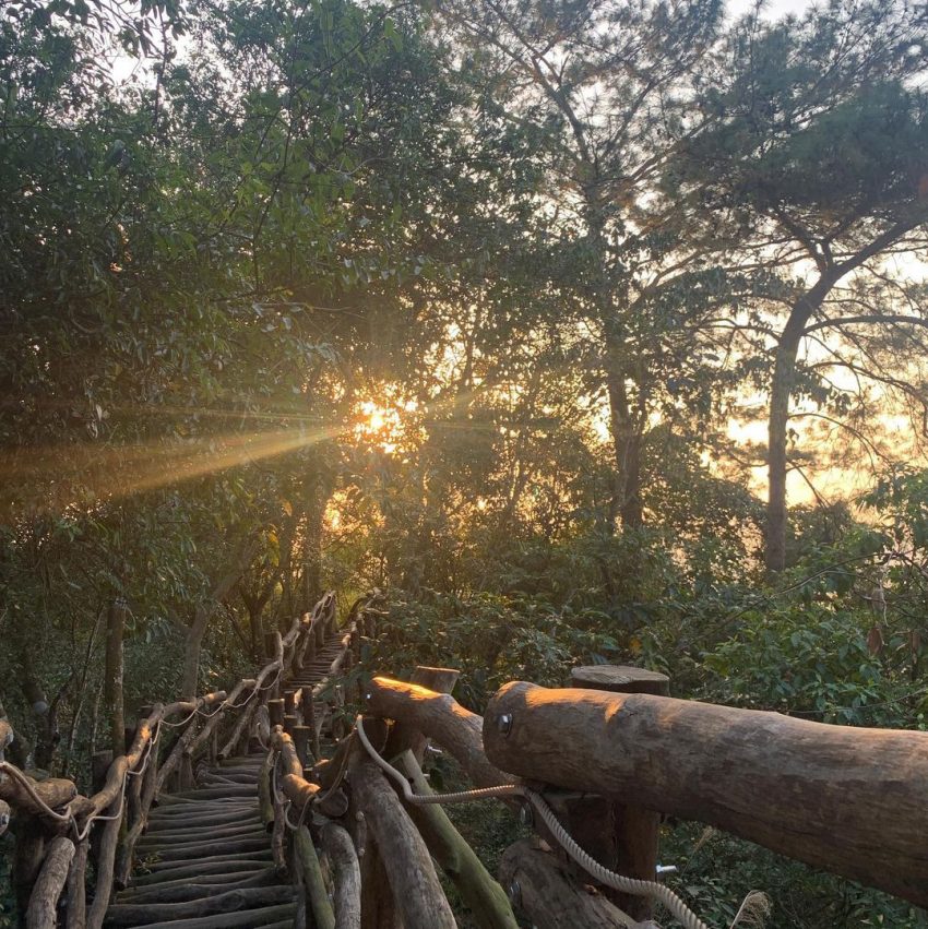 大坑風景區2號步道