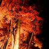 毒親、いじめなどで辛い思いしてる方ここで少し相談してみてはいかがですか？