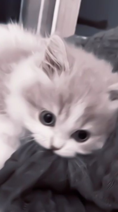 雑談  深夜 ライト