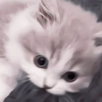 雑談  深夜 ライト