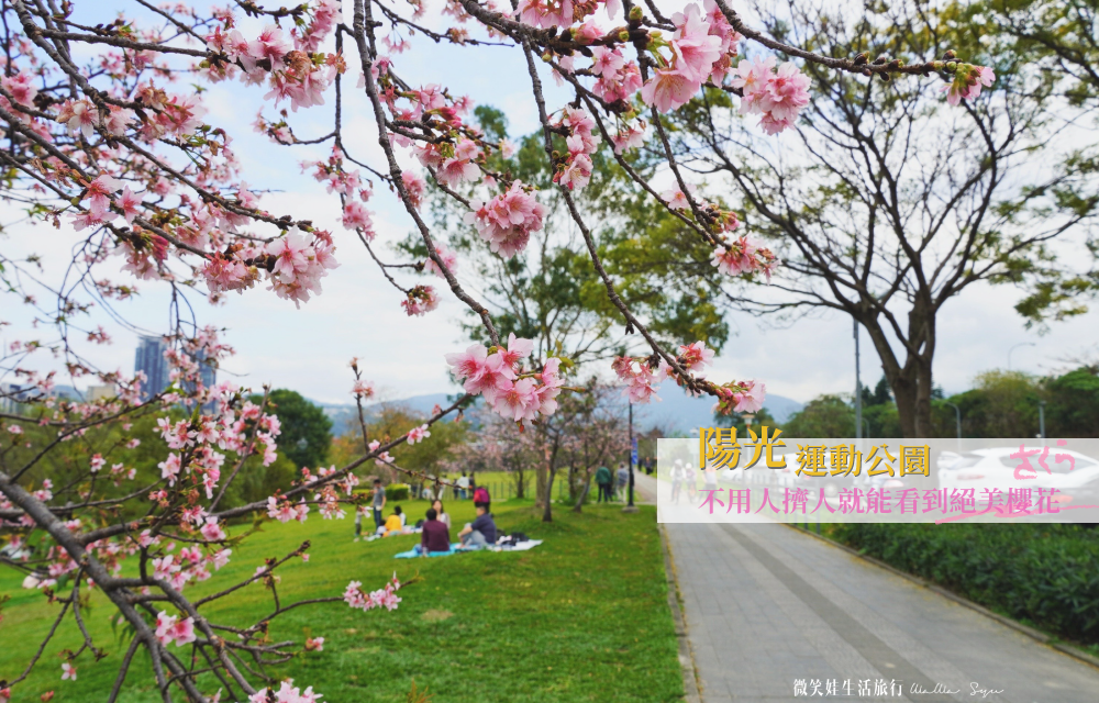 陽光運動公園2020賞櫻