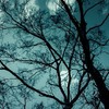 歌と妖の百鬼夜行(主従パロ)