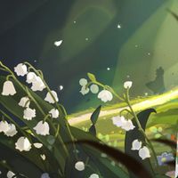 抹茶風味LA牙風鈴草同伴募集計畫