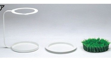 傘放哪？放草地上就好啦！