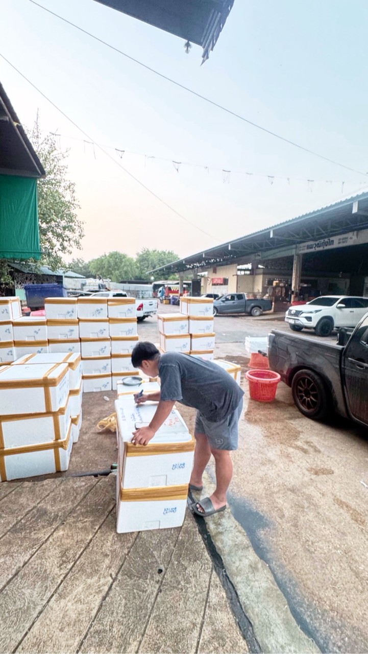 Nattapongอาหารทะเลสด-ฟรีส🦞🐚🦀🐠🪼
