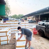 Nattapongอาหารทะเลสด-ฟรีส🦞🐚🦀🐠🪼