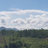 楠室 卿悠齋2.0