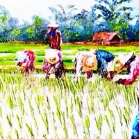 ผลิตภัณฑ์กลุ่มอาชีพ ตำบลแม่นาเติง