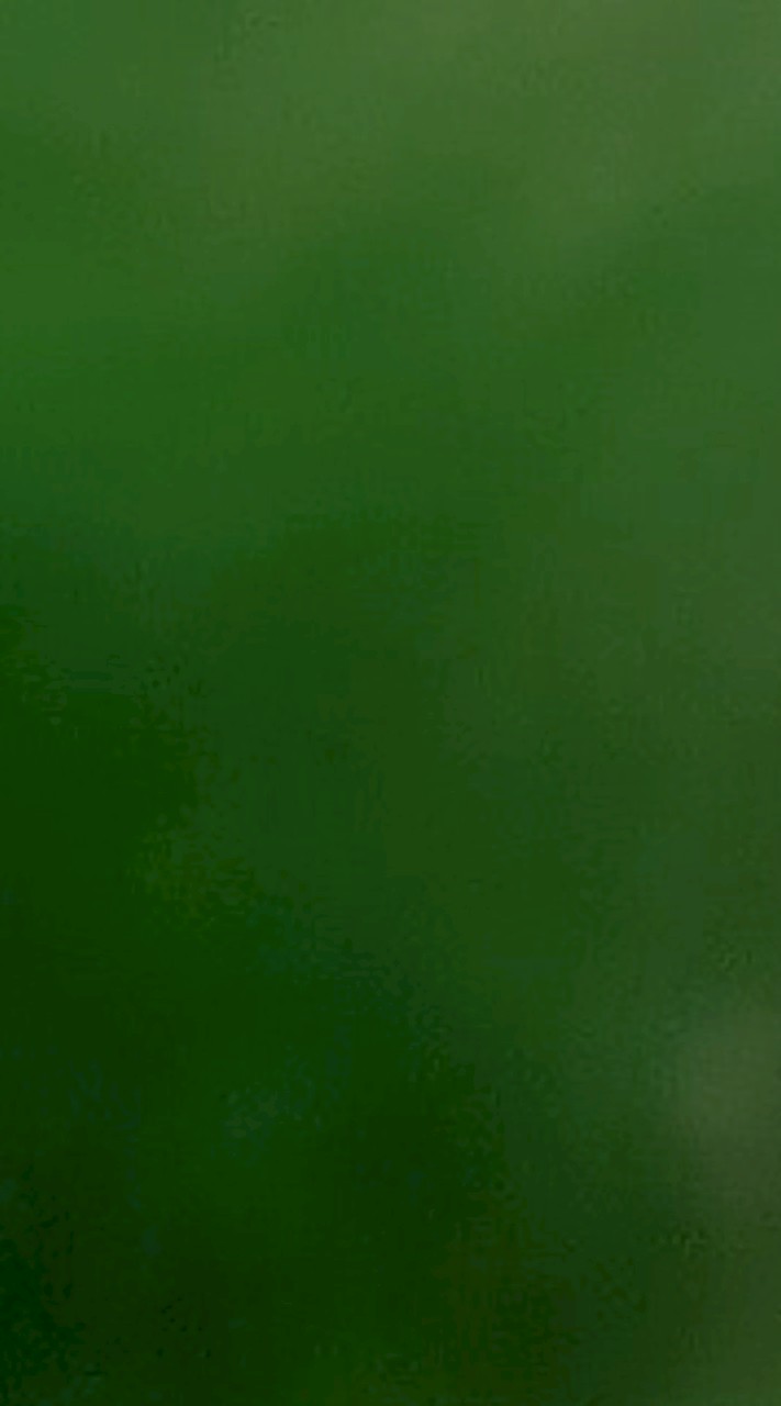 雑談しよー！