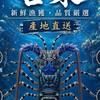台東野生深海魚龍蝦（台東-宏霖）