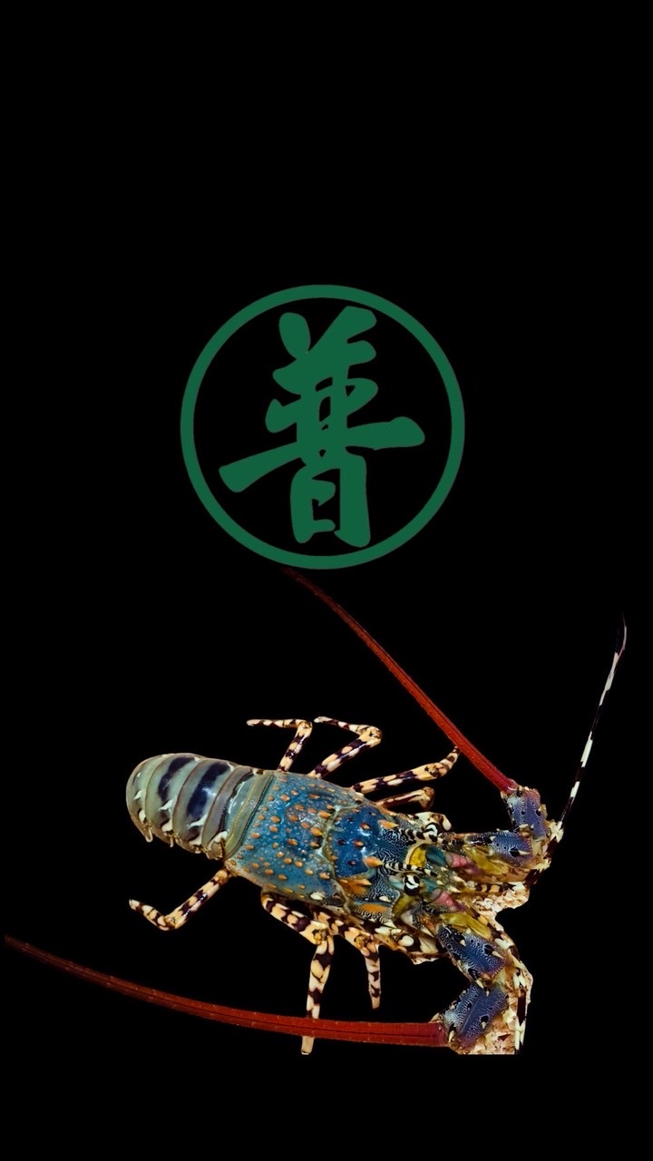 台東野生深海魚龍蝦（台東普派-宏霖）