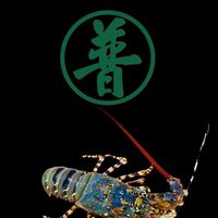 台東野生深海魚龍蝦（台東普派-宏霖）