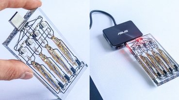 造型太酷炫！日本學生聲稱成功研發「魚腦記憶 USB」，4 條魚並列就達到 128GB 大容量！