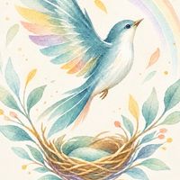 CanvBird|表現者のための活動づくり勉強会