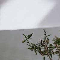 🍒質感女孩營養圈