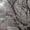 学生限定オプ！（雑談、ライト、恋バナ）