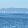 鴿神115內軌全修