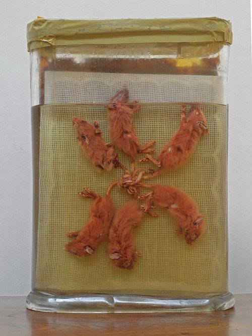 (Foto: Selbymay/Wikimedia)