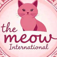 🪞 ✿ 𓈒 ᱸ 𓏮 มหาลัยบอท The Meow International 🍀 ♡♡︎
