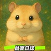 傑利鼠樂園🐹分享鼠寶生活日誌～💖
