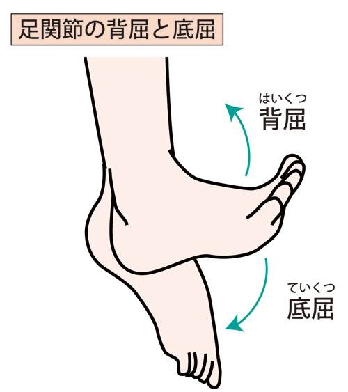 しゃがむのが辛いのはふくらはぎが硬いから 体が変わる 2ステップのふくらはぎほぐし