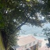 ひと夏の奇蹟とあなたへの想い