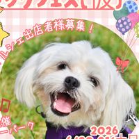 鞍ヶ池ドッグフェス出店者