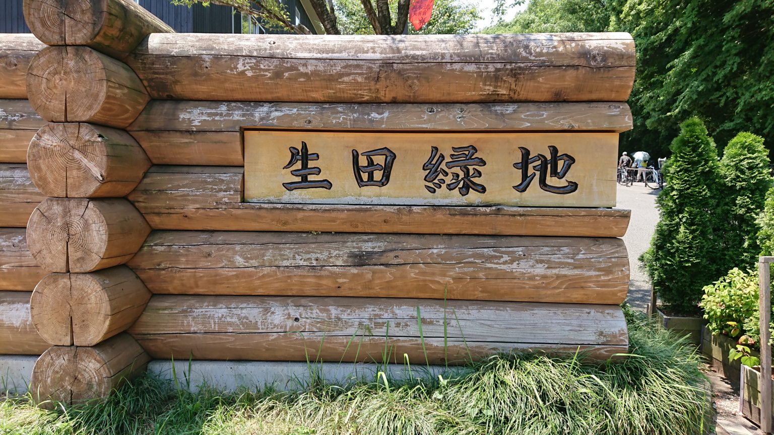 夏季日本避暑方案來場森林浴吧 4