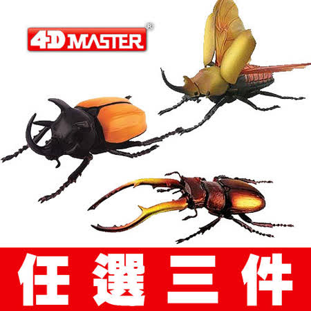 ◆ 親手組裝精緻的模型◆ 養成更高的邏輯及立體概念思考◆ 造型逼真、栩栩如生手、手工上色◆ 仿真實動物製造，非常具有收藏的價值！