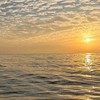 鳳姐民宿推薦｜花東綠島旅宿分享群