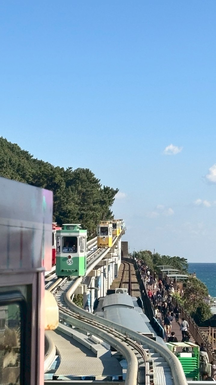 芯來幫你扛🛍️