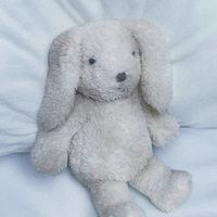 憎み悲しみ慈しみ‼️