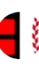 中学硬式野球