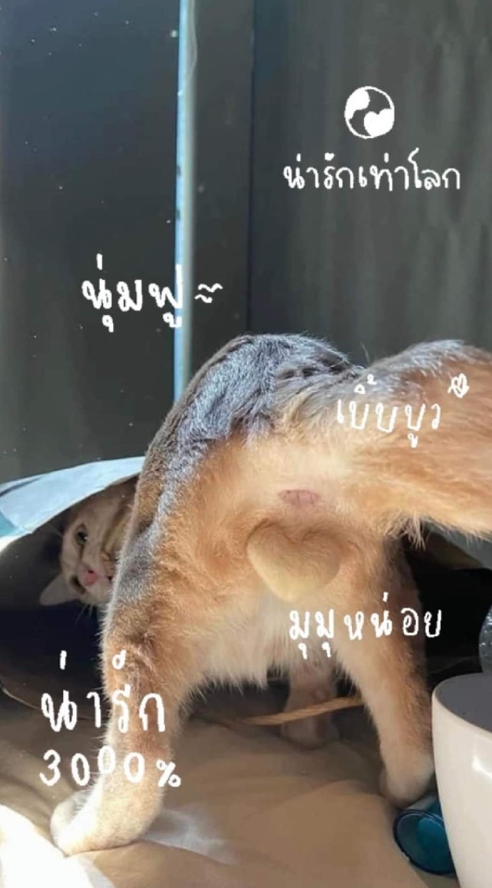 เธรด 𝗕𝗬. 𝗠𝟭𝗡𝗗