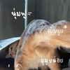 เธรด 𝗕𝗬. 𝗠𝟭𝗡𝗗