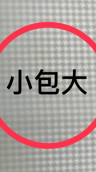 小包入大包機