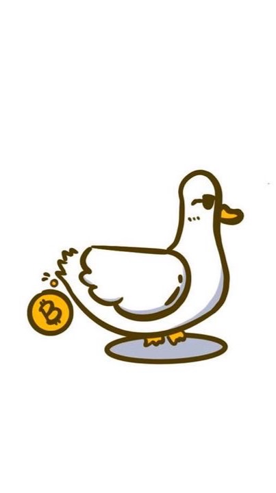 鴨哥交易討論群🦆