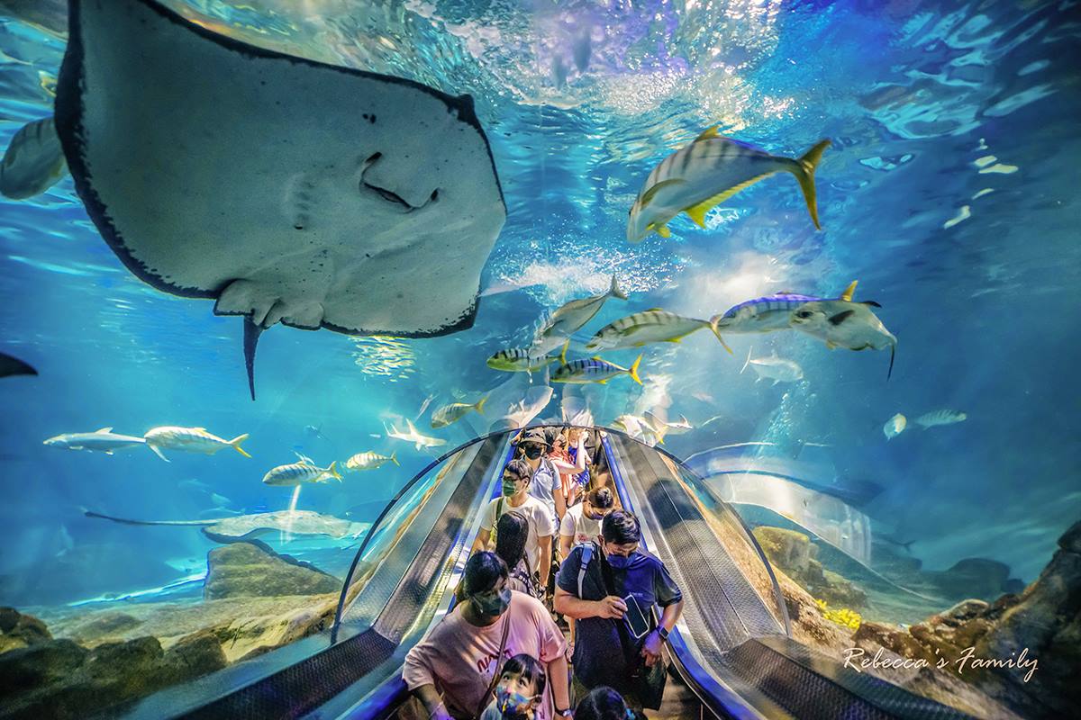 不要只去七星潭！花蓮６大美拍景點：絕美「台版藍洞」、IG暴紅天空之鏡