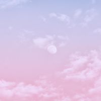 珍珠學姊💫健康逆齡所🌟粉絲專屬
