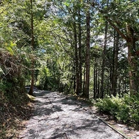 【宜蘭景點】開箱太平山見晴懷古步道美景，觀山賞雲讓身心靈超舒暢，900公尺步道往返約1小時，推薦親子遊玩景點