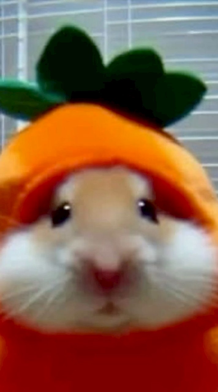 エペ
