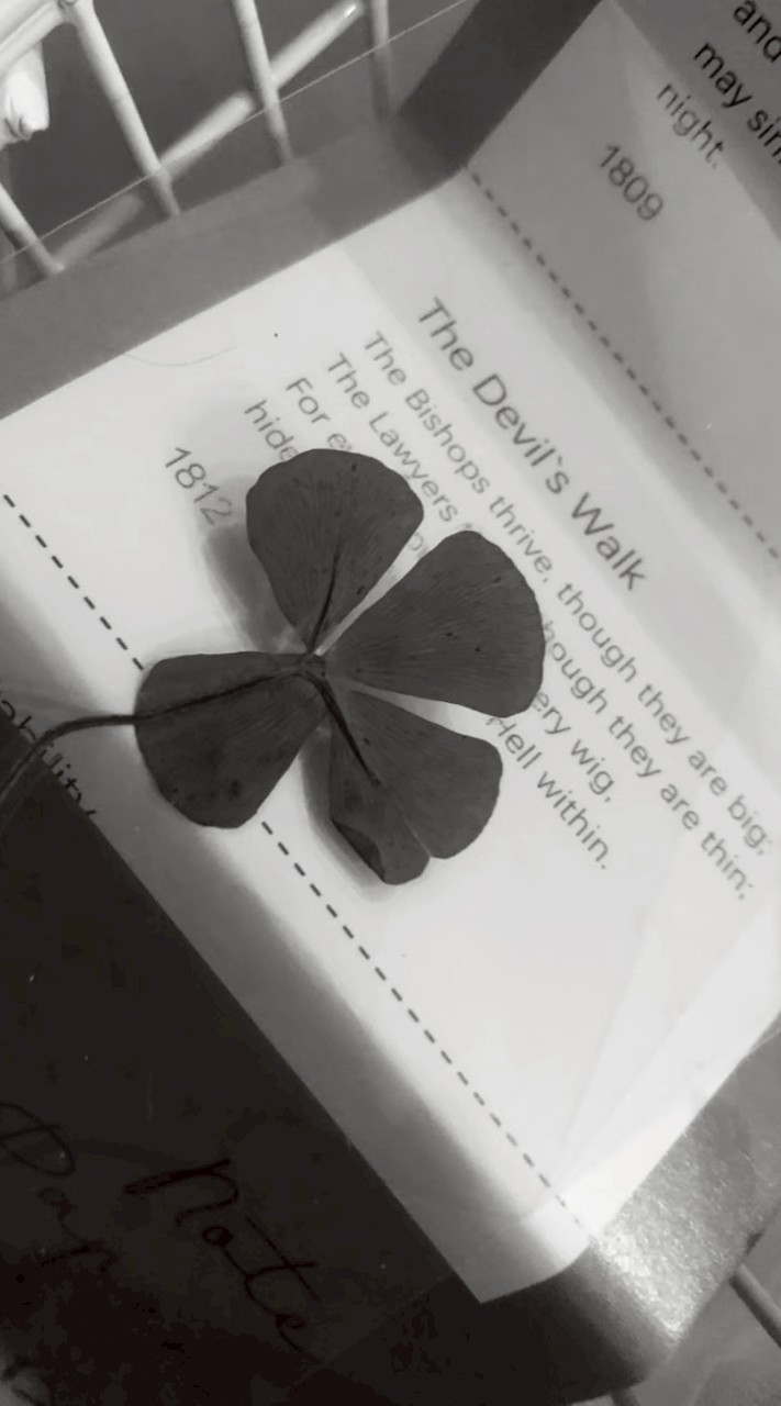 ꒦꒷芙戀相遇𓂃⸝⸝𓏵.ᐟ.ᐟ