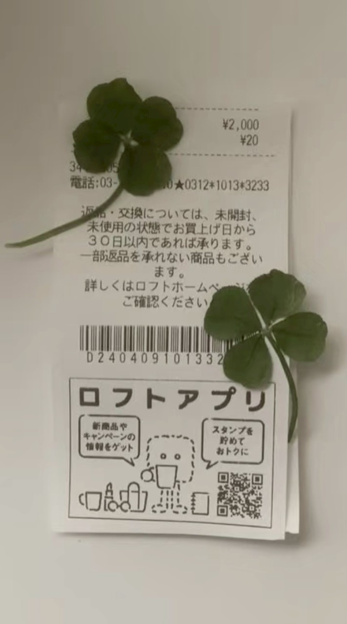 𓍯𓂃恋与四葉草. ‧₊˚ ♡