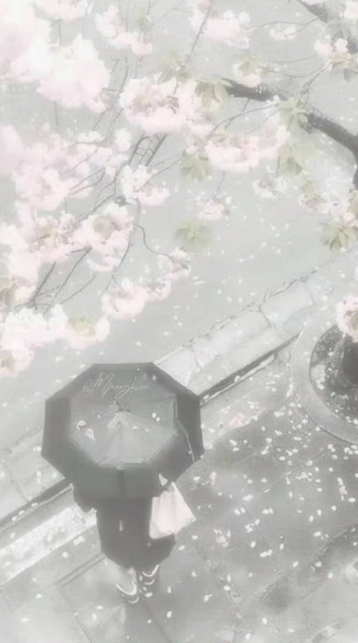 𝜗𝜚⋆₊♡𓂃纸 醉 恋 心⸝⸝𓍯.ᐟ