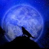 第一回月光王戦🌗