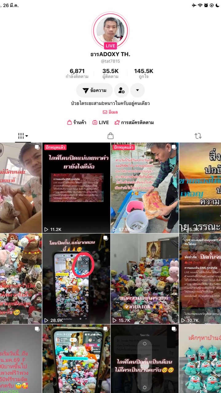 ตุ๊กตาคุณลุง