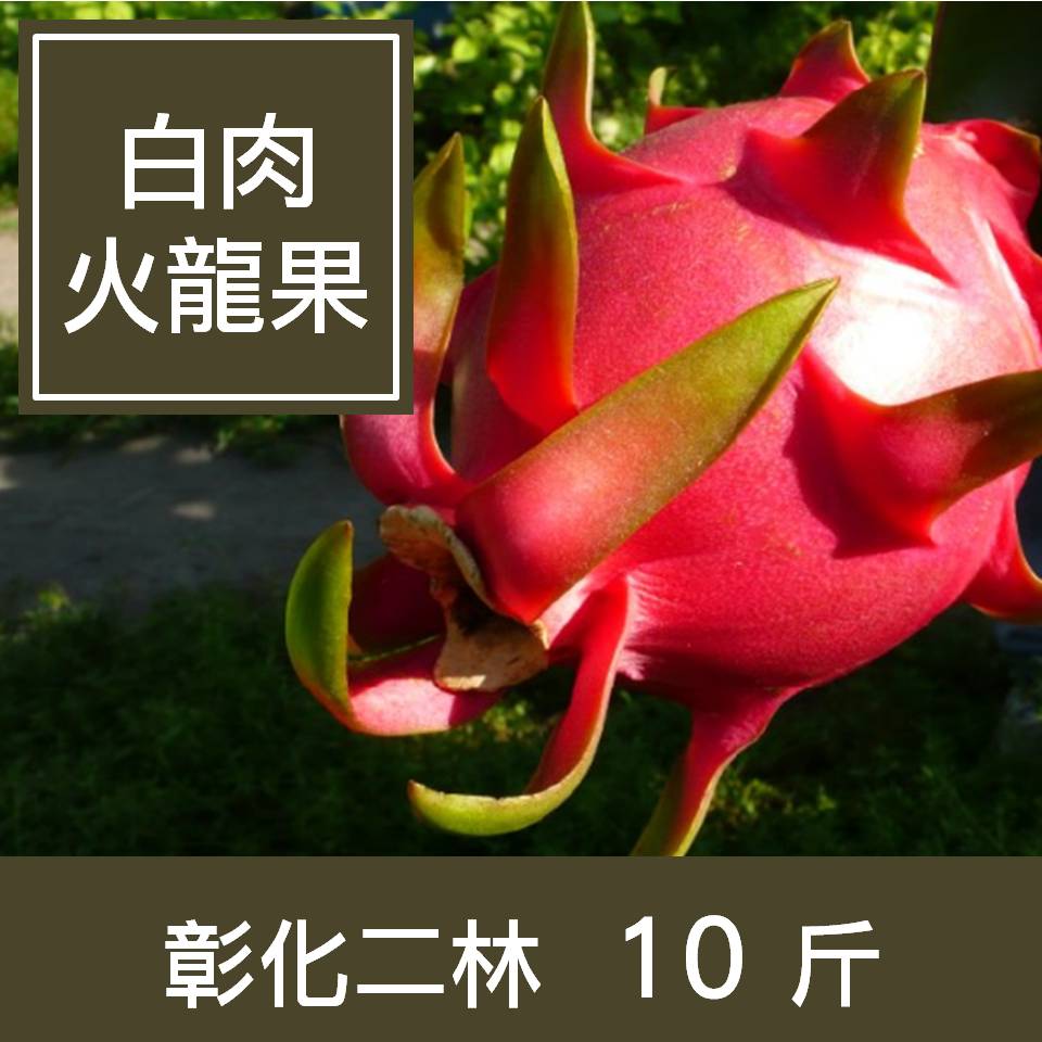 ★產銷履歷認證，無毒安心吃 ★與外銷日本相同等級 ★天然微酸、低熱量，高纖維，好吃無負擔